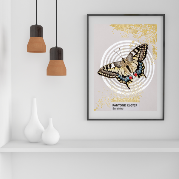 Swallowtail butterfly