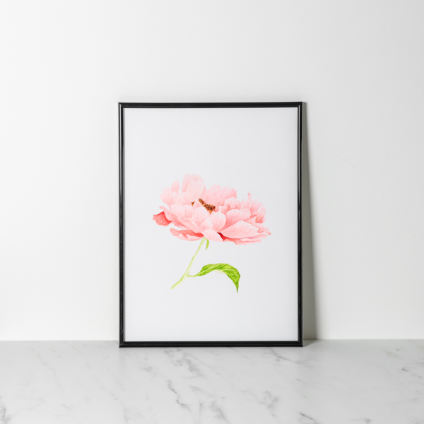 Blush Pink Peony painting